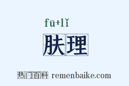 肤理是什么意思的图片